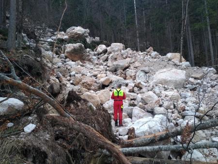 Gozdovi na kamniškem v tednu gozdov 2023 - Gozd prihodnosti (7)